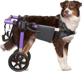 Dog Wheelchair for Back Legs - Lightweight Aluminum Alloy Dog Wheelchair Medium