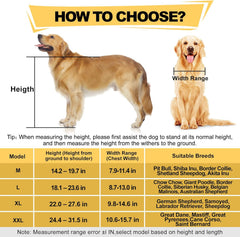 All-Terrain Dog Wheelchair for Back Legs - Lightweight & Adjustable for Medium to Large Dogs - Easy to Assemble Mobility Aid