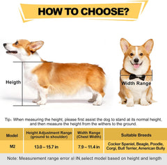 Corgi&Dachshund Dog Wheelchiar - Dog Wheelchair for Back Legs – Lightweight Adjustable Mobility Aid for Medium Dogs - Ideal for IVDD, Arthritis & Injury Recovery