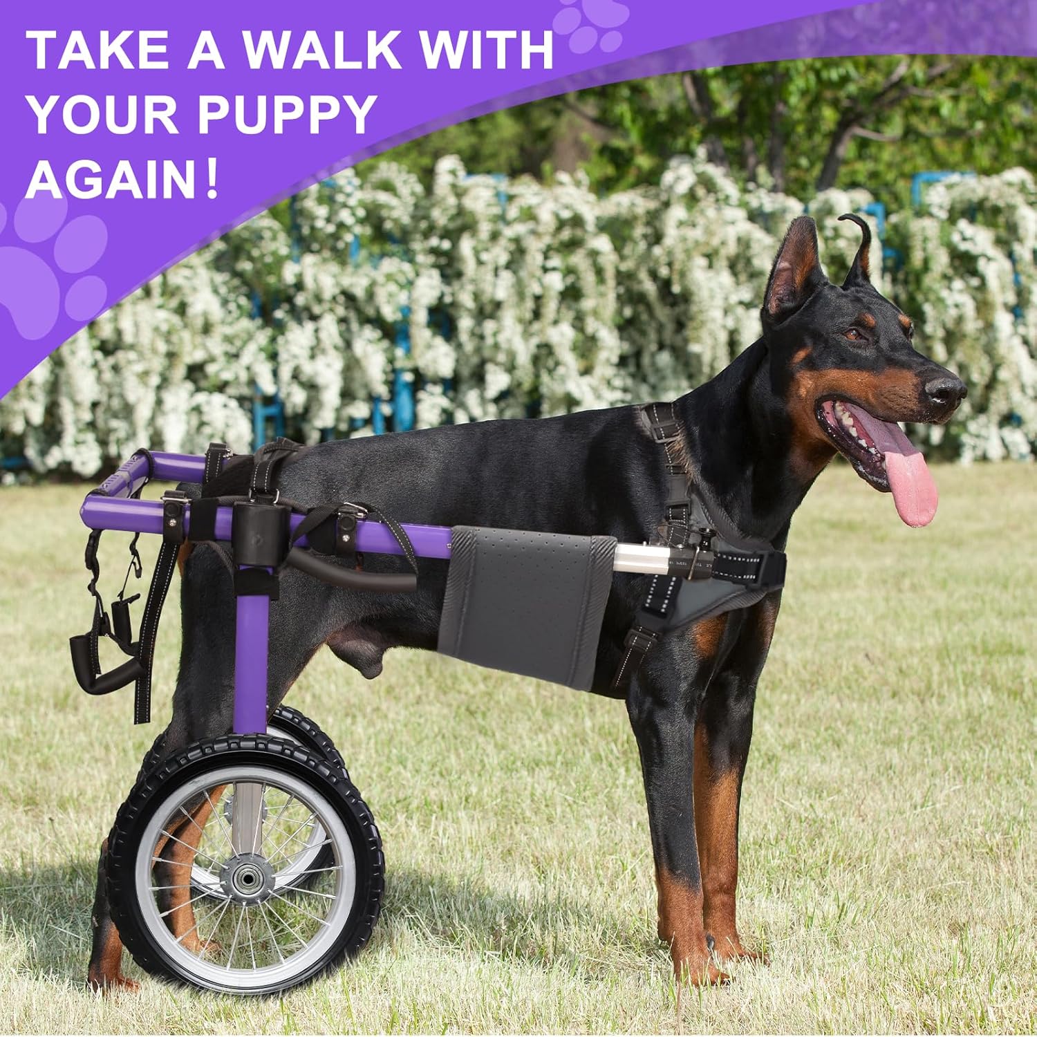 Dog Wheelchair for Back Legs - Lightweight Aluminum Alloy Dog Wheelchair Medium
