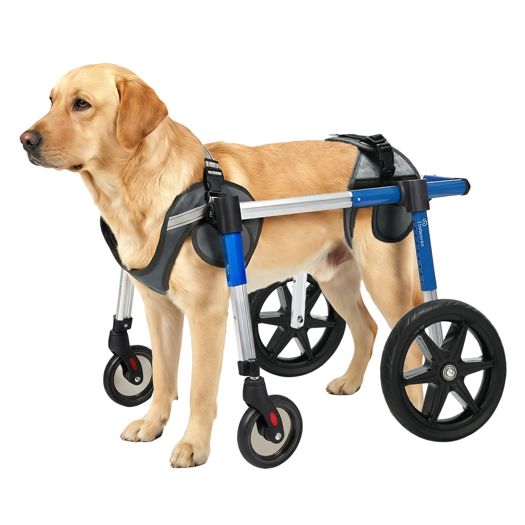 Dog Wheelchair Front Wheel Kit for Upgrading Hind Leg Wheelchair to Four Wheel Chair M/L/XL/XXL