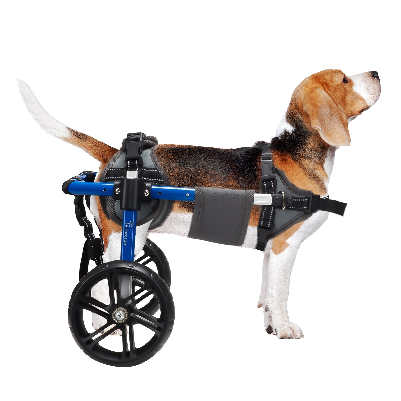 Virbraroo Dog Wheelchair for Back Legs, Disabled or Injured Small Dogs