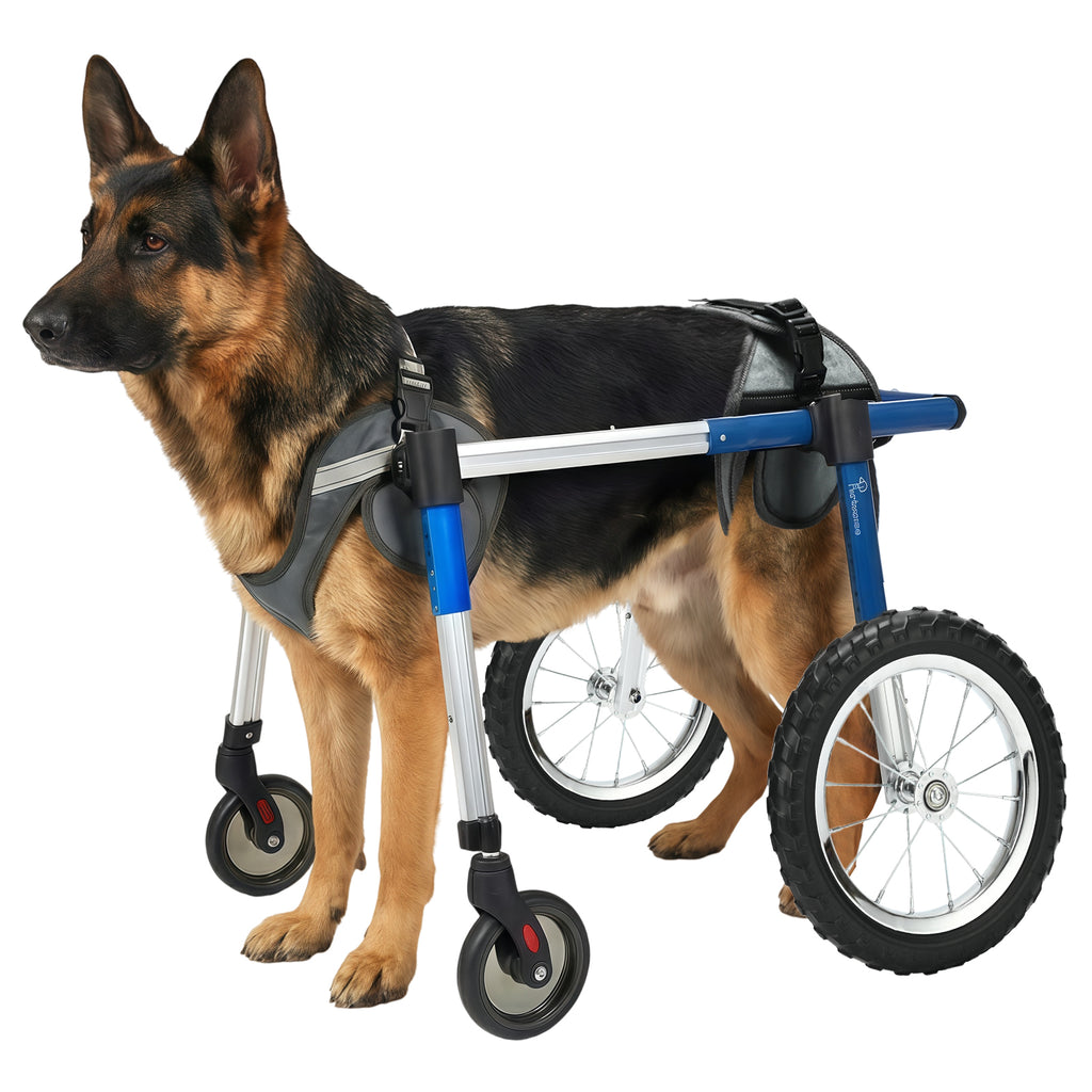 Dog Wheelchair Front Wheel Kit for Upgrading Hind Leg Wheelchair to Four Wheel Chair M/L/XL/XXL