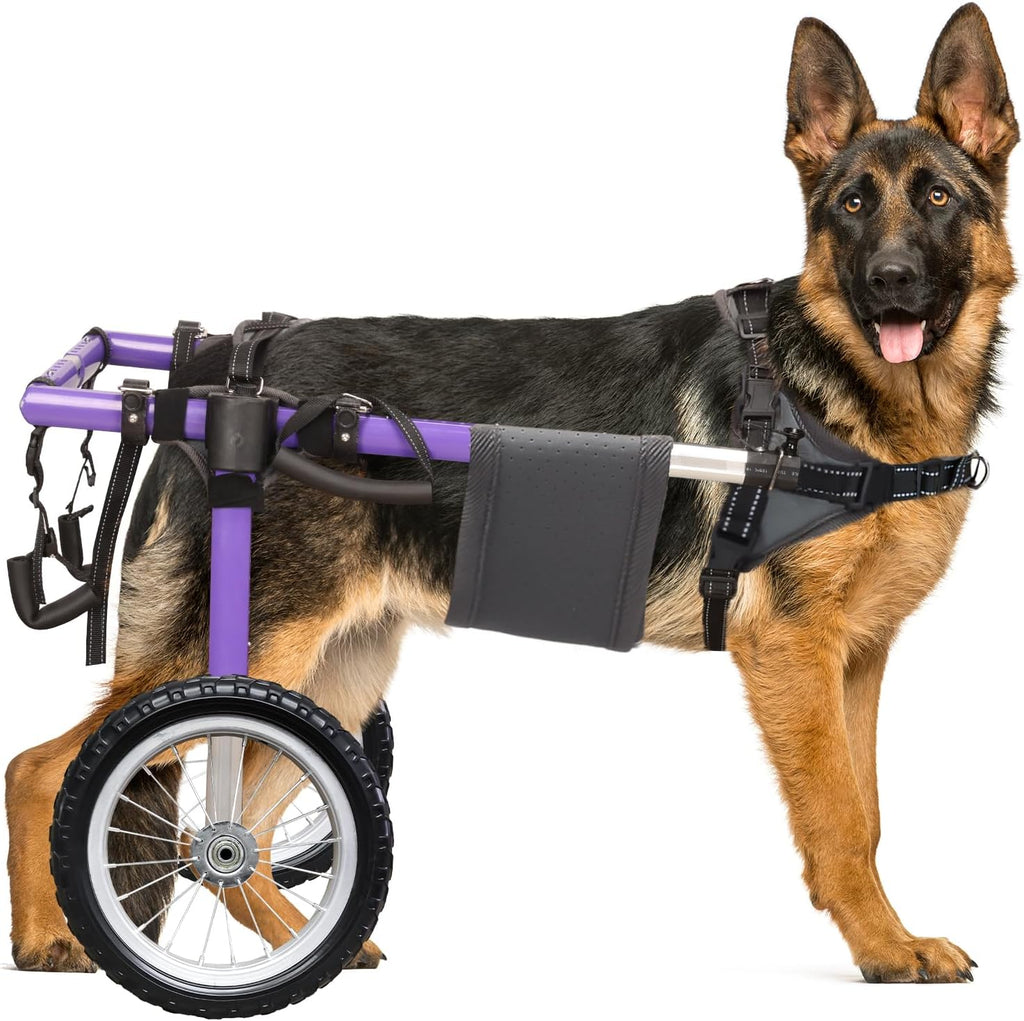 Virbraroo Large Dog Wheelchair for Back Legs, 11.8 in All-Terrain Wheels