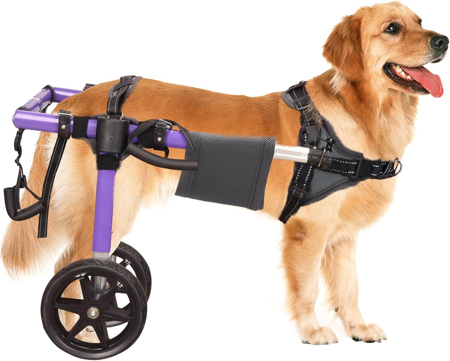 Dog Wheelchair for Back Legs - Lightweight Aluminum Alloy Dog Wheelchair Medium