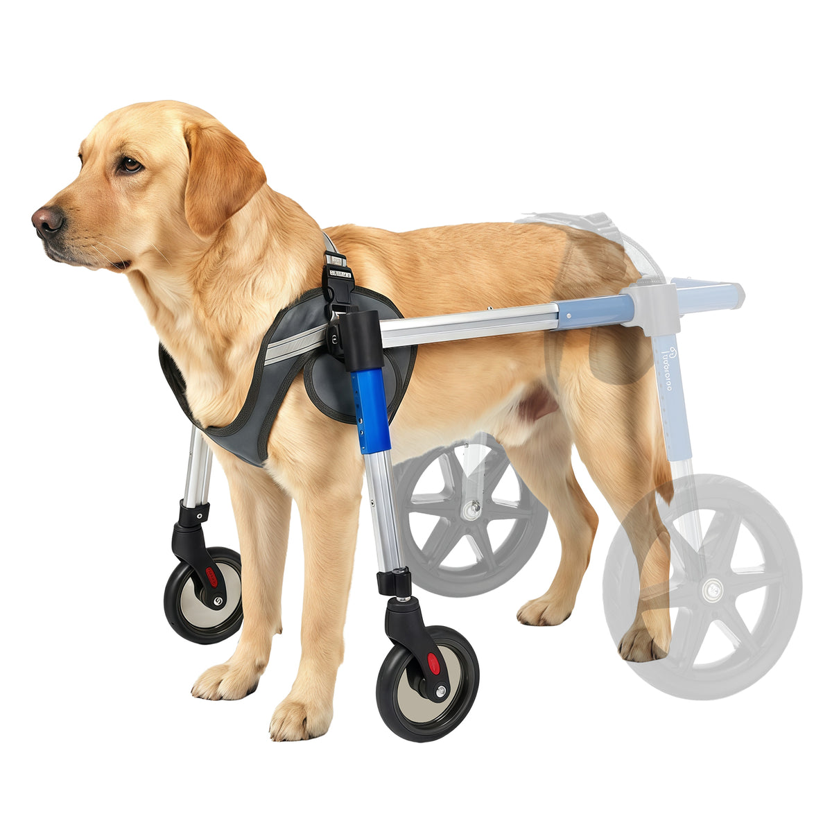 Dog Wheelchair Front Wheel Kit for Upgrading Hind Leg Wheelchair to Four Wheel Chair M/L/XL/XXL