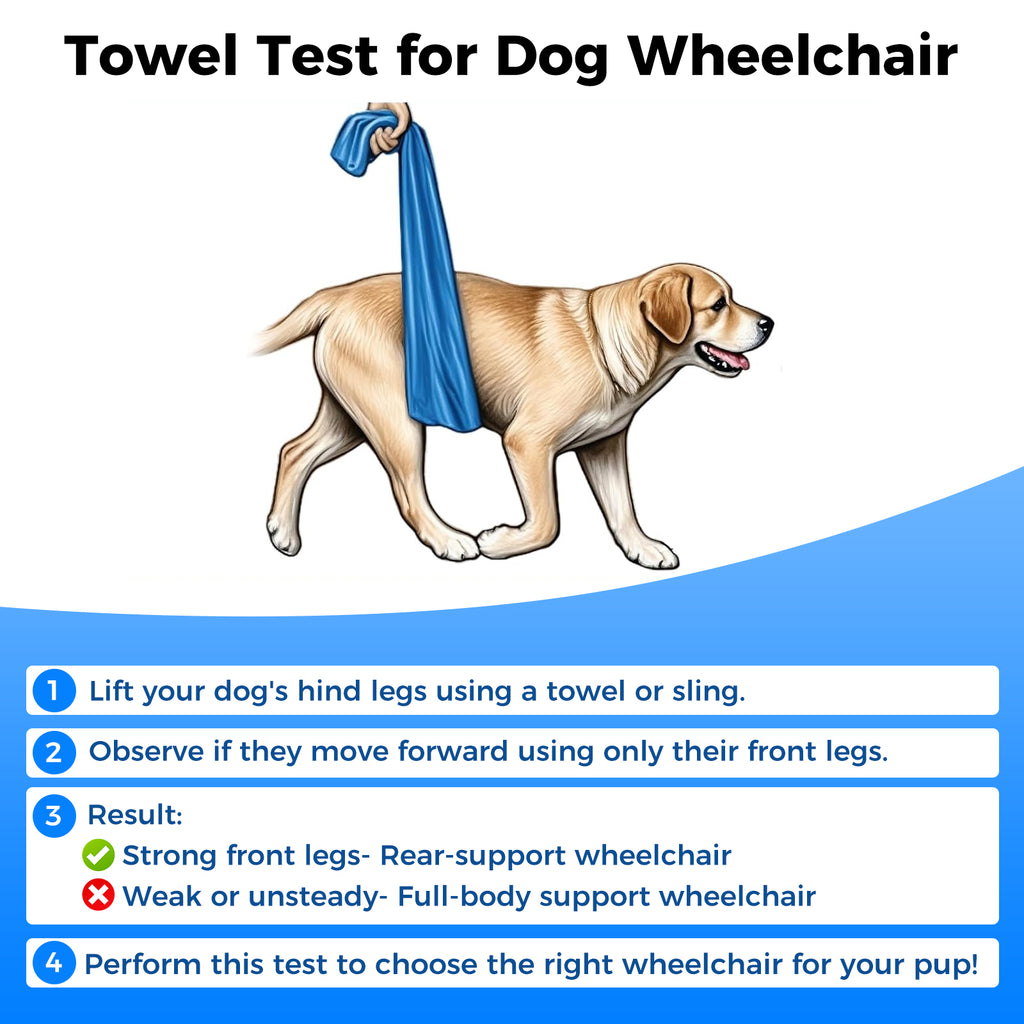 Dog Wheelchair Front Wheel Kit for Upgrading Hind Leg Wheelchair to Four Wheel Chair M/L/XL/XXL