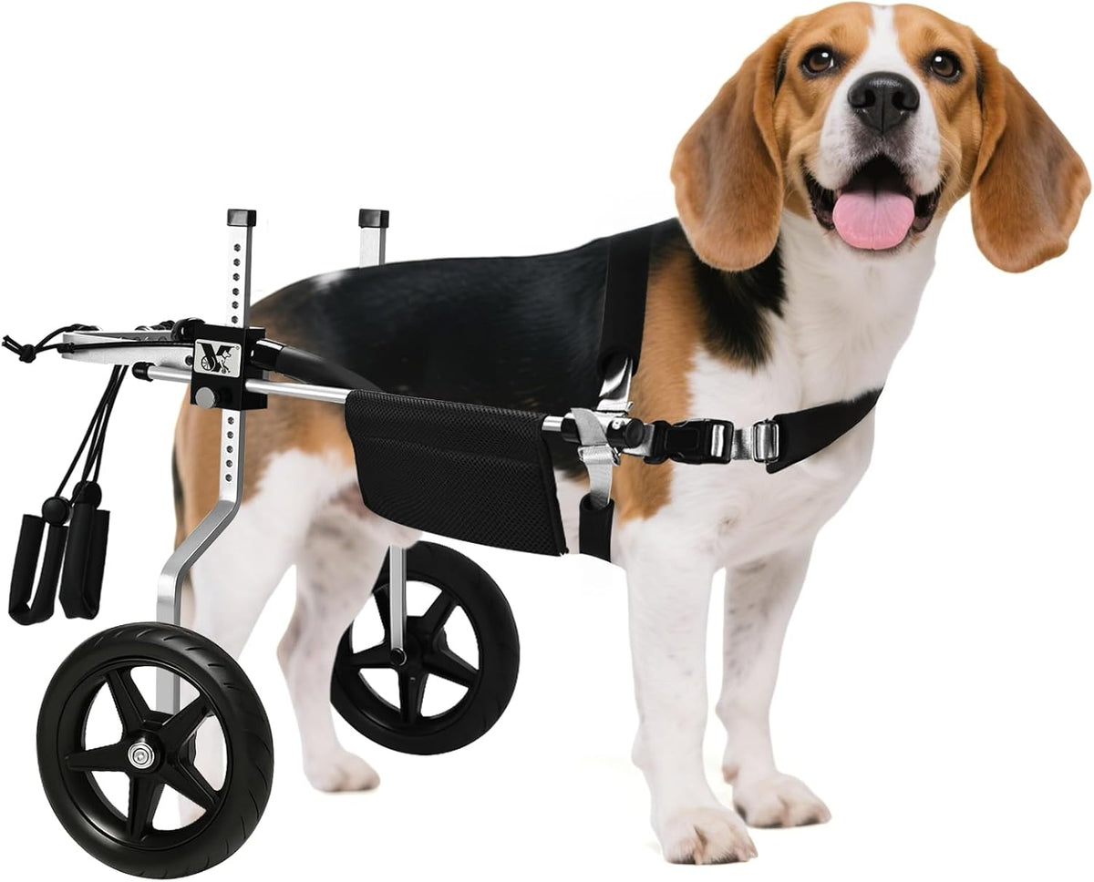 All-Terrain Dog Wheelchair for Back Legs - Lightweight & Adjustable for Medium to Large Dogs - Easy to Assemble Mobility Aid