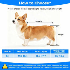 Dog Wheelchair for Back Legs – Adjustable Dog Wheelchair, Aluminum Frame with Padded Harness, All-Terrain Wheels for Medium Dogs, Corgi Dachshund Mobility Support Cart for Back Legs