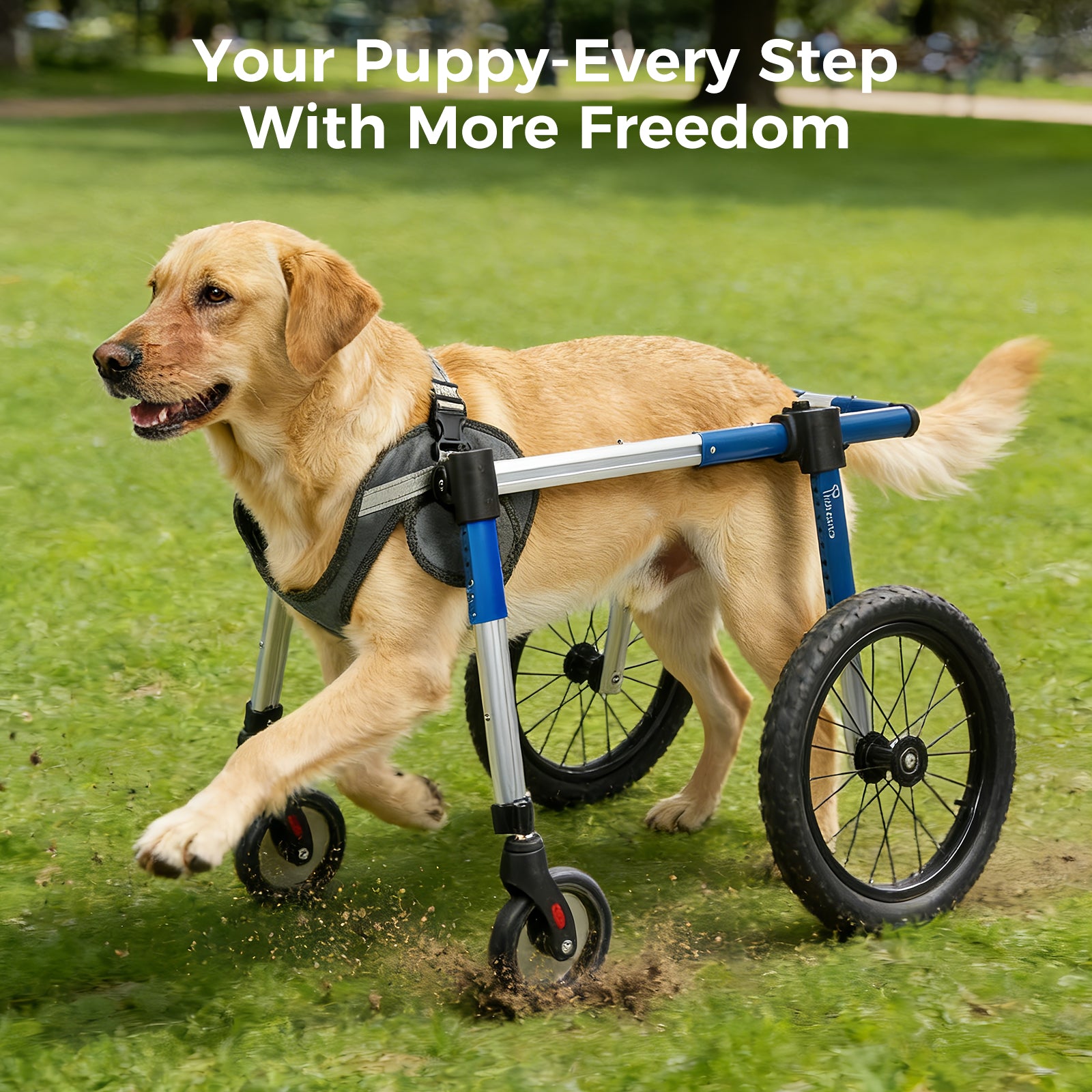 Dog Wheelchair Front Wheel Kit for Upgrading Hind Leg Wheelchair to Four Wheel Chair M/L/XL/XXL