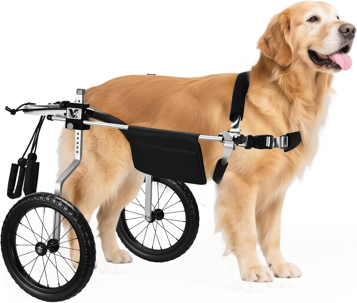 All-Terrain Dog Wheelchair for Back Legs - Lightweight & Adjustable for Medium to Large Dogs - Easy to Assemble Mobility Aid