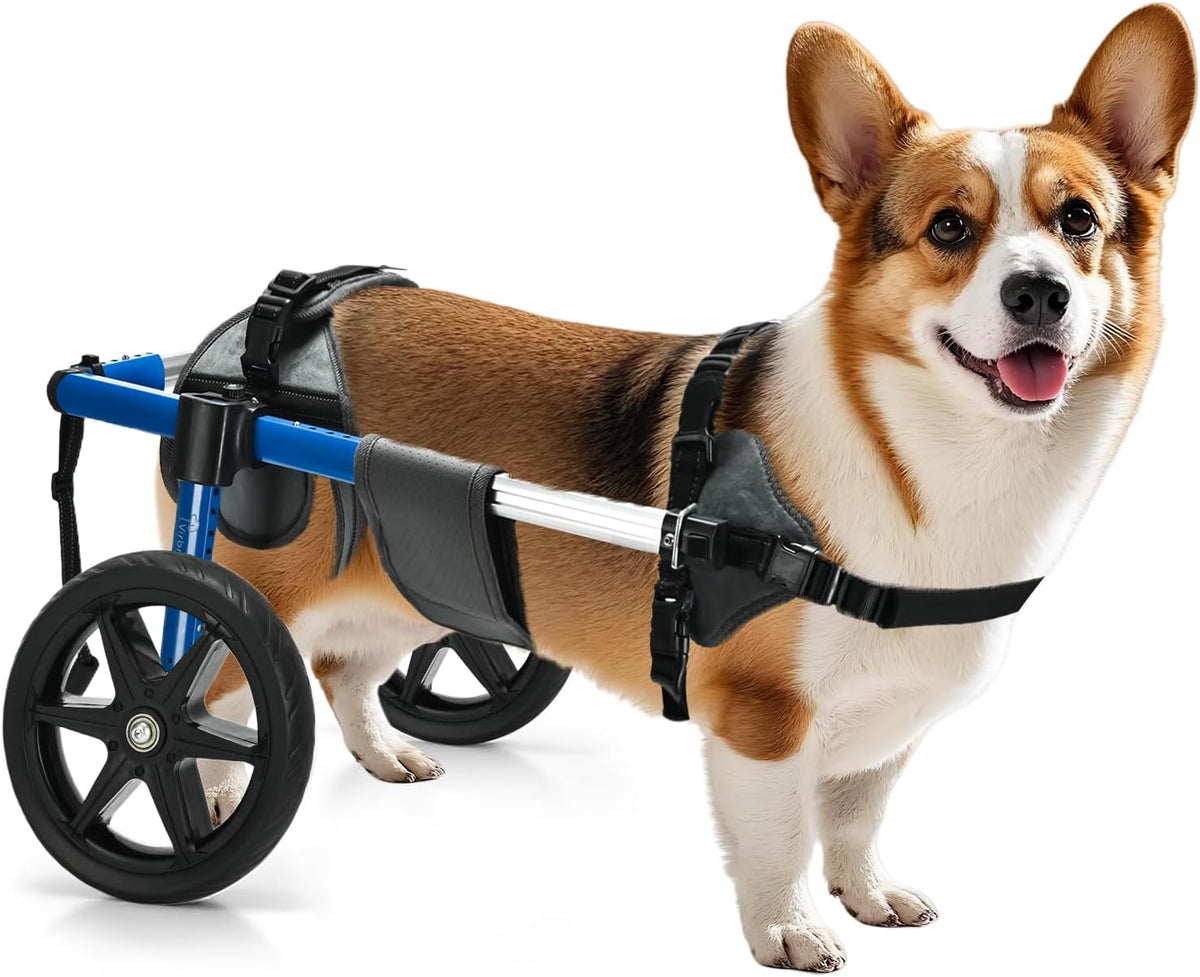 Dog Wheelchair for Back Legs – Adjustable Dog Wheelchair, Aluminum Frame with Padded Harness, All-Terrain Wheels for Medium Dogs, Corgi Dachshund Mobility Support Cart for Back Legs