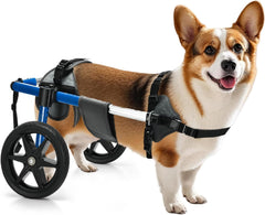 Dog Wheelchair for Back Legs – Adjustable Dog Wheelchair, Aluminum Frame with Padded Harness, All-Terrain Wheels for Medium Dogs, Corgi Dachshund Mobility Support Cart for Back Legs