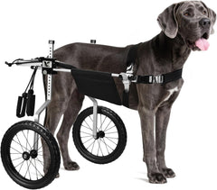 All-Terrain Dog Wheelchair for Back Legs - Lightweight & Adjustable for Medium to Large Dogs - Easy to Assemble Mobility Aid