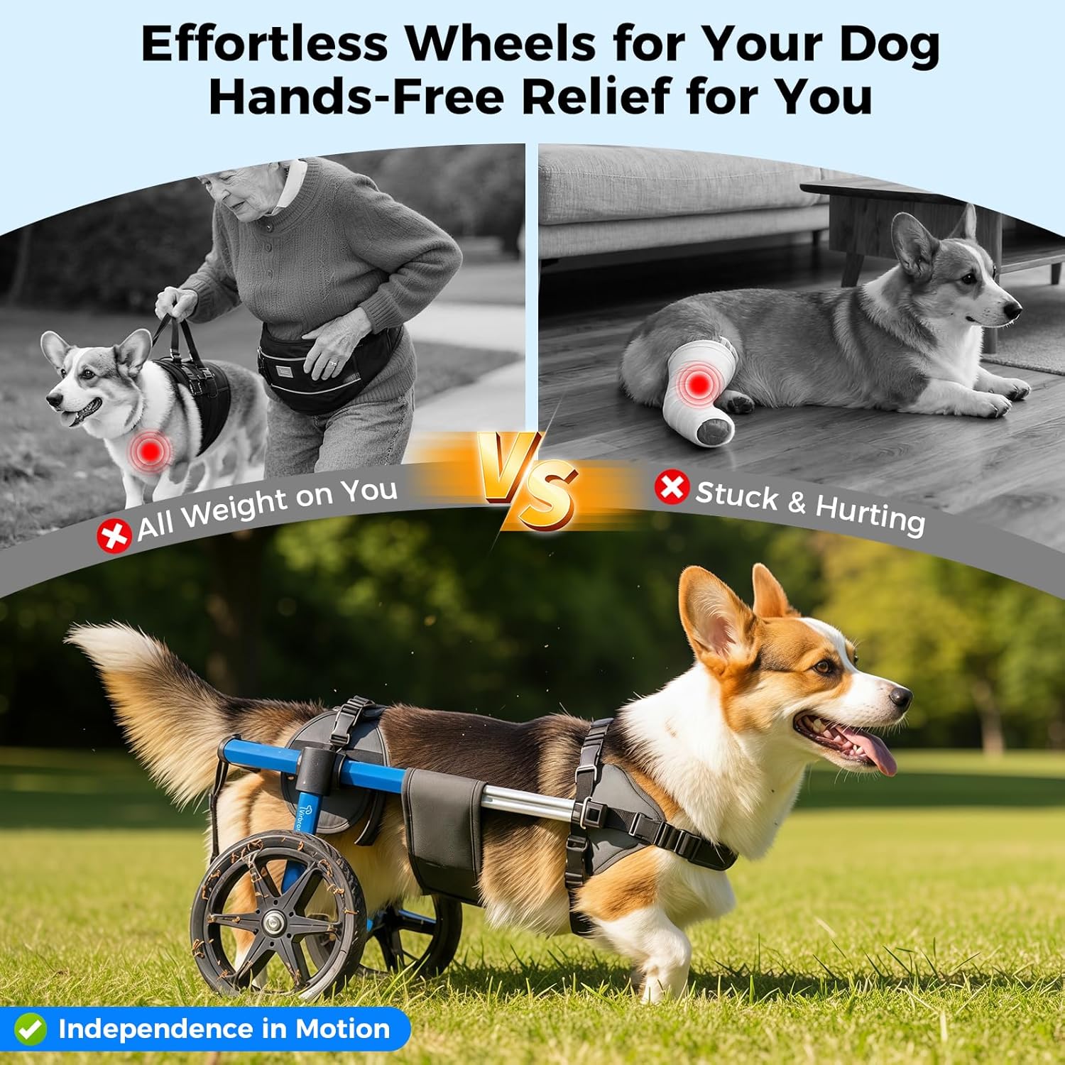 Virbraroo Medium Dog Wheelchair for Corgi and Dachshund Back-Leg Support