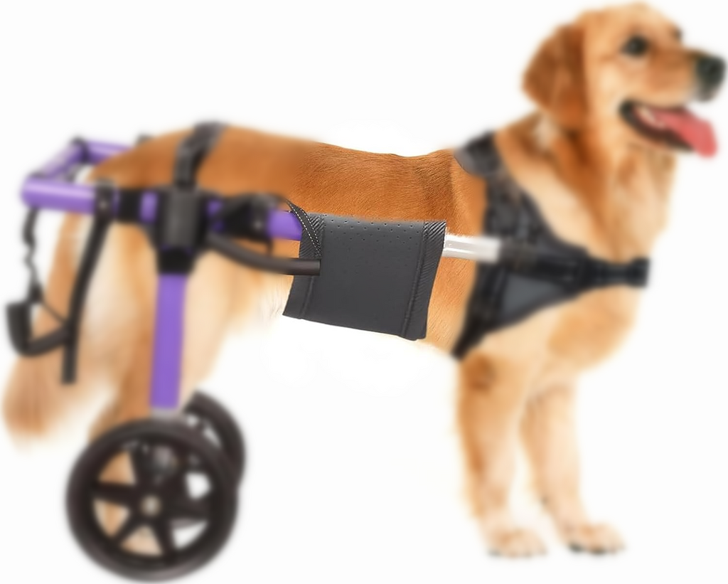Dog Chest Harness Straps  M/L